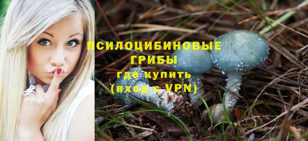эйфоретик Армянск