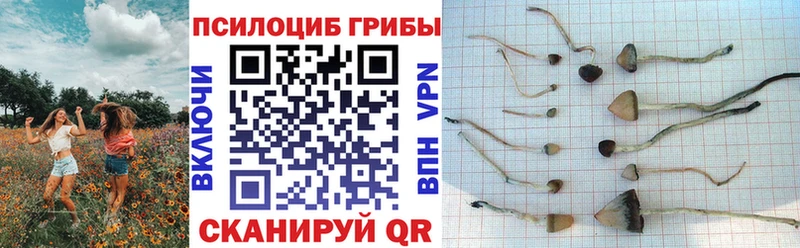 Галлюциногенные грибы ЛСД купить сайты Алагир